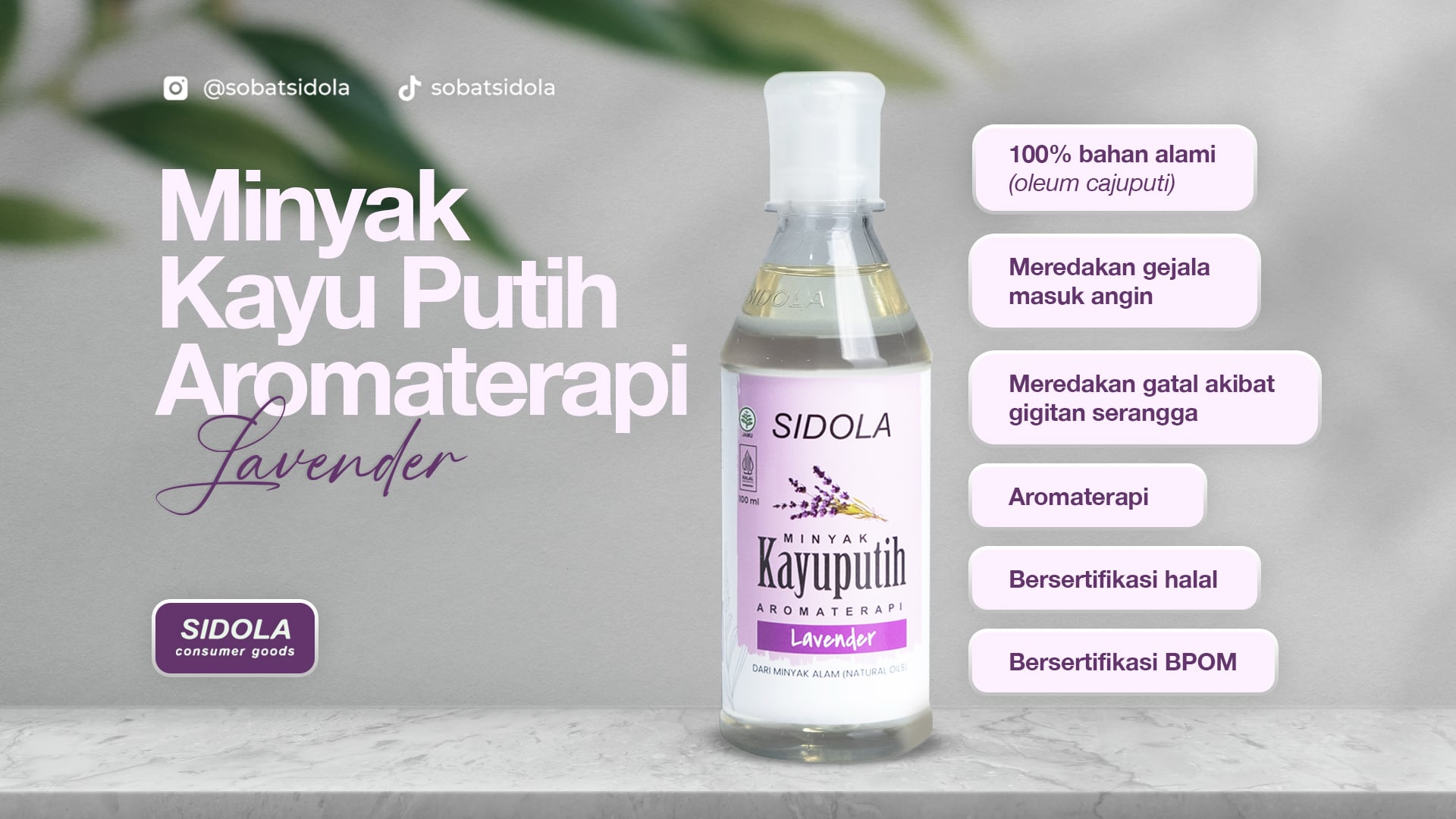 Kayu Putih Lavender